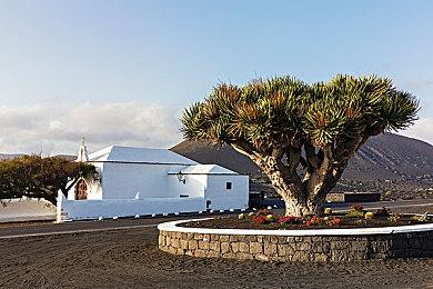 《艾尔登法环》超过《最后的生还者2》 成为年度游戏最多获得者